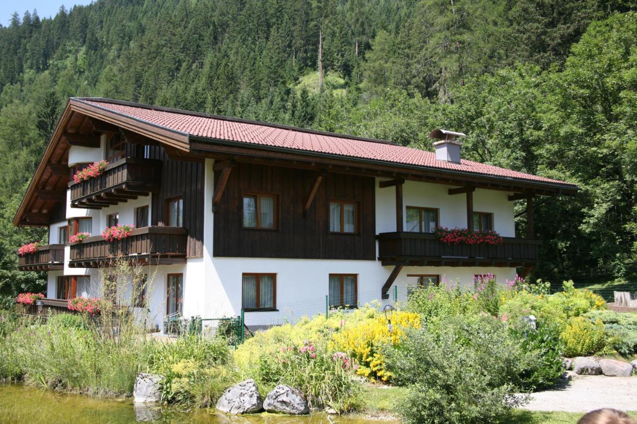 埃尔比格纳尔普Haus Montana公寓 外观 照片